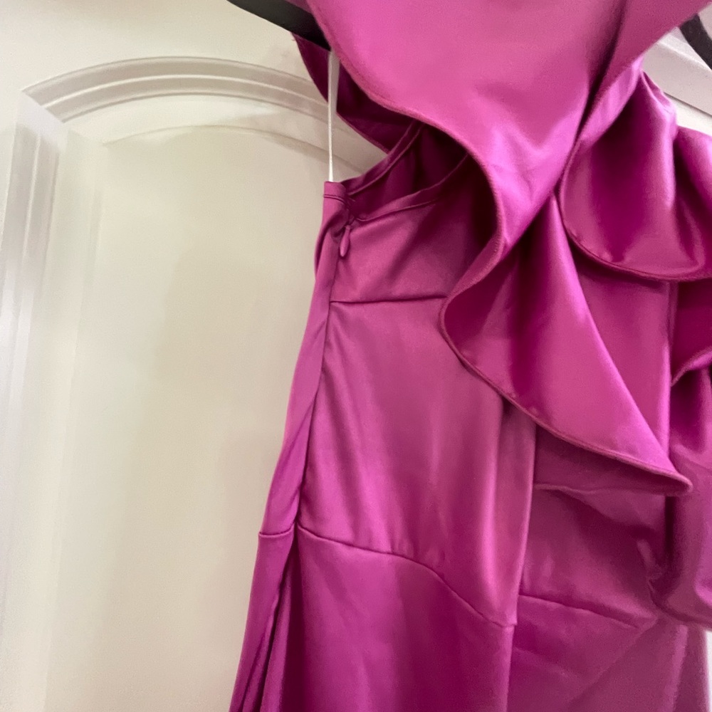 Pink Asymmetrical Neck Ruffle Trim Dress - Picture 4 of 6